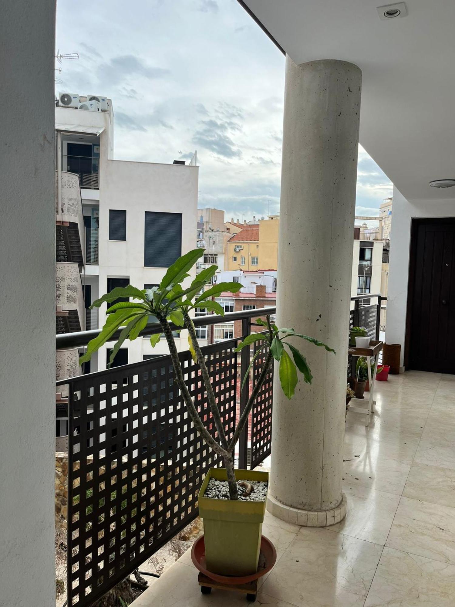 Appartement El Torcal Luxury With Free Parking